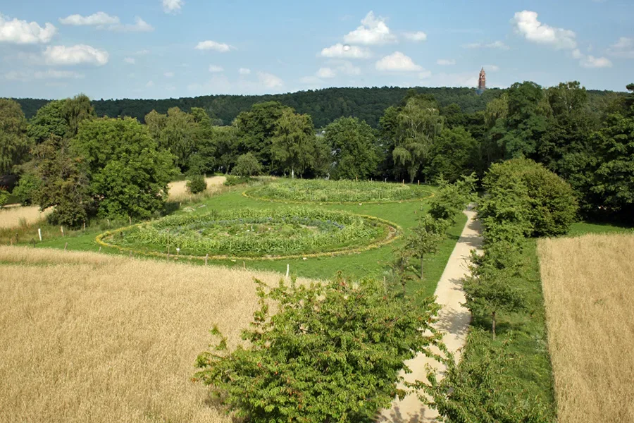 rbb: Bauerngarten für Städter