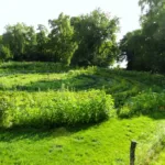 Havelmathen Garten mit Havelblick