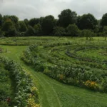 bauerngarten Kreise in Pankow Anfang Juli