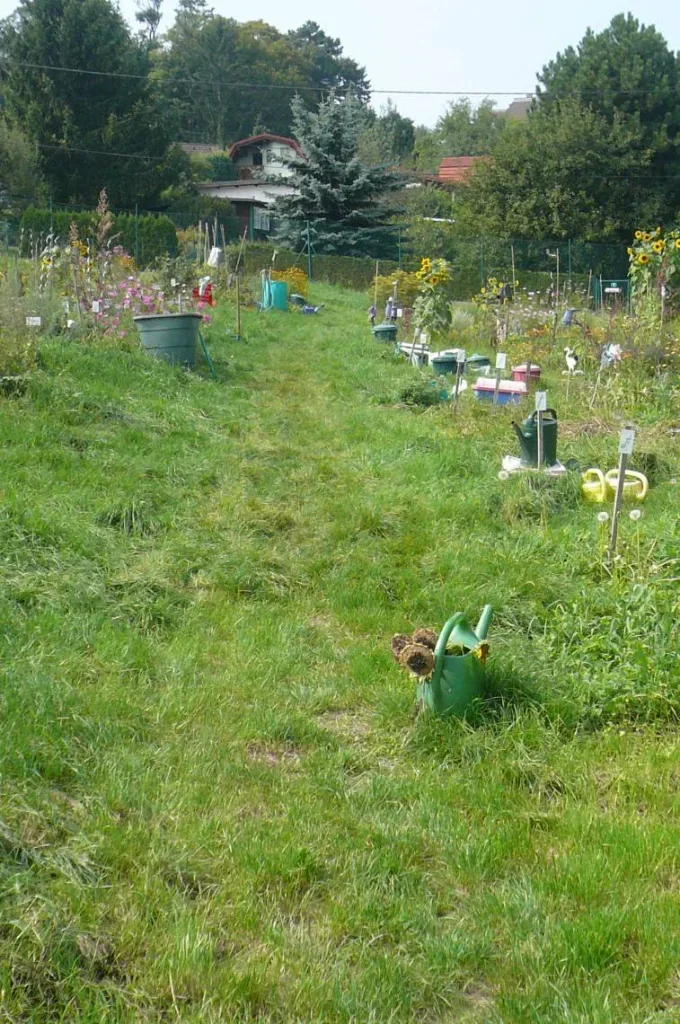 selbsternte trifft bauerngarten