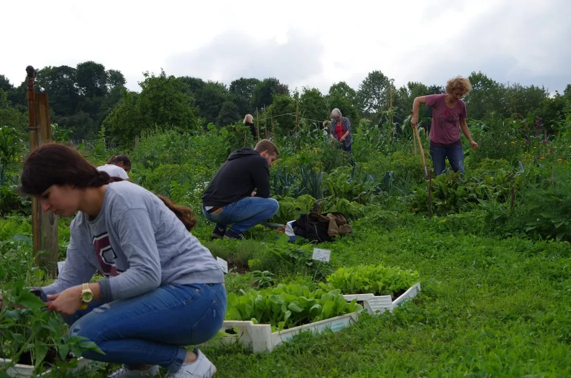 garten action im bauerngarten ernten in berlin