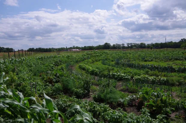 biogarten kreise berlin weite im süden