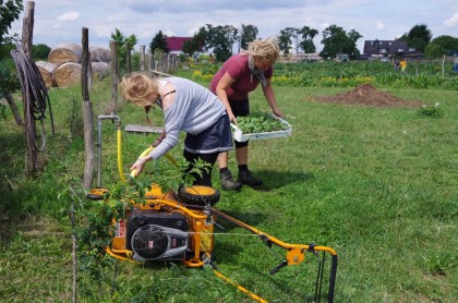 bauerngarten Mette Juli Team Gartenarbeitstag